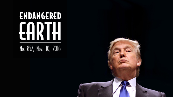 Trump-Endangered-Earth.jpg