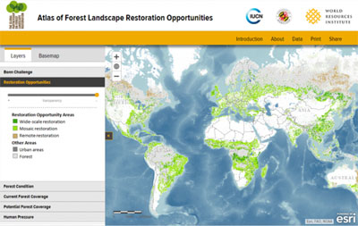 Forest-Restoration-Map.jpg