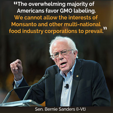 GMO-Bernie.jpg