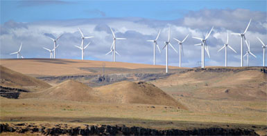 Hidalgo-Wind-Farm.jpg