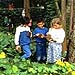 Kids-in-ForestThumb2.jpg