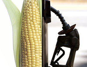 corn-ethanol.jpg